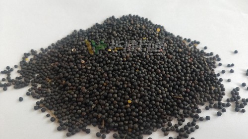 華豫萬(wàn)通油菜籽脫皮機(jī)的推廣使用